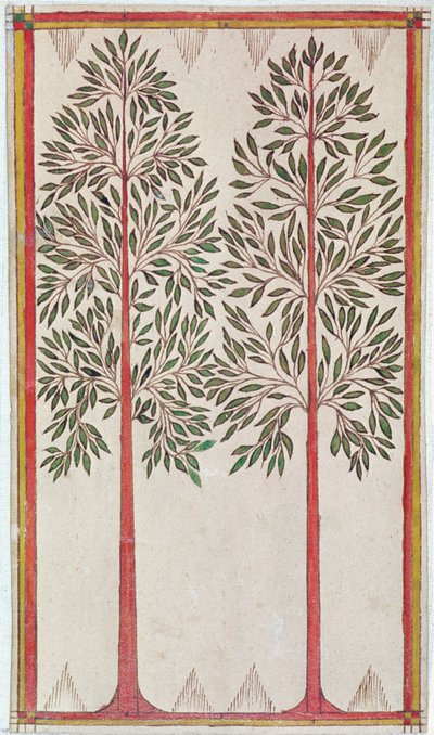 Arbres - American School